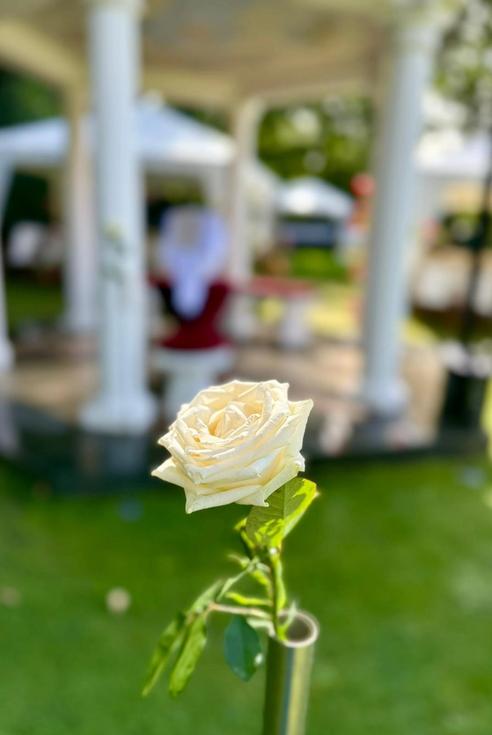 Mädchen singt bei Zeremonie von Ein Himmel voll Worte